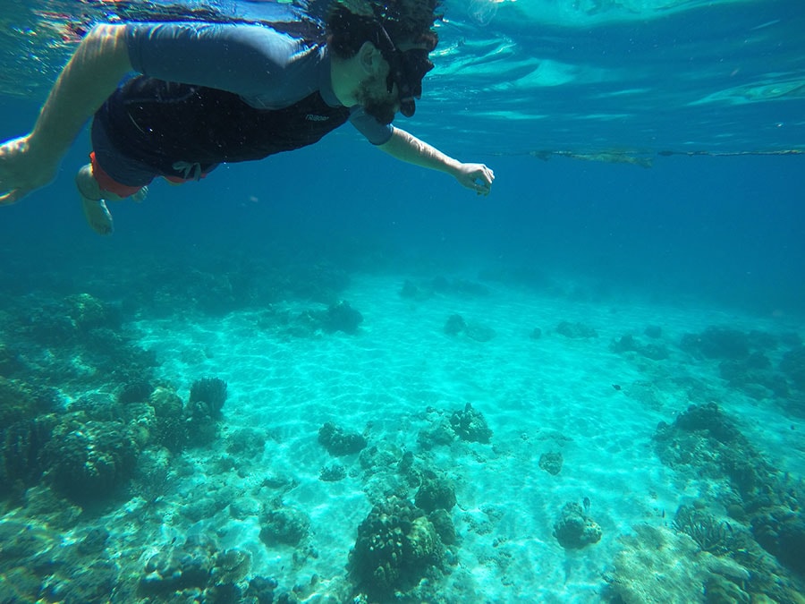 helicopterislandsnorkeling.jpg