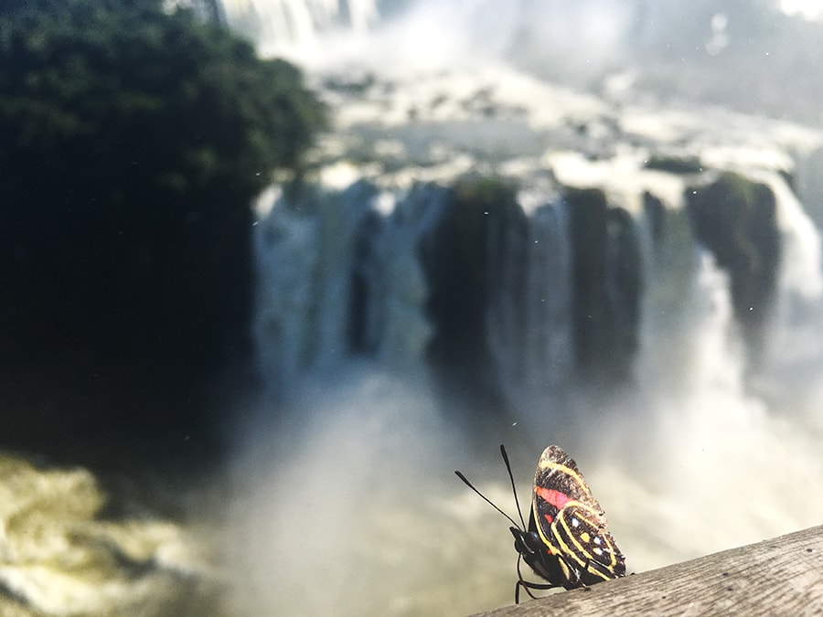 iguazubrazil23.jpg