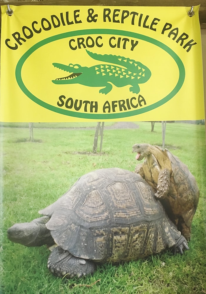 johannesburgcrocodilepark10.jpg